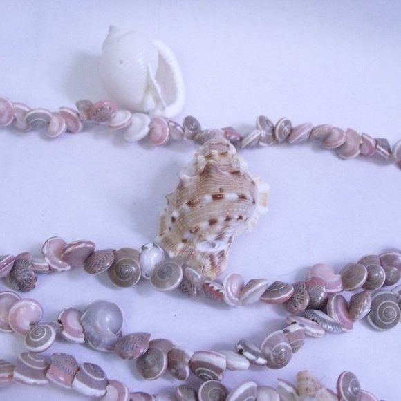 Seashell Umbonium Shell Garland - Picture 6 of 9